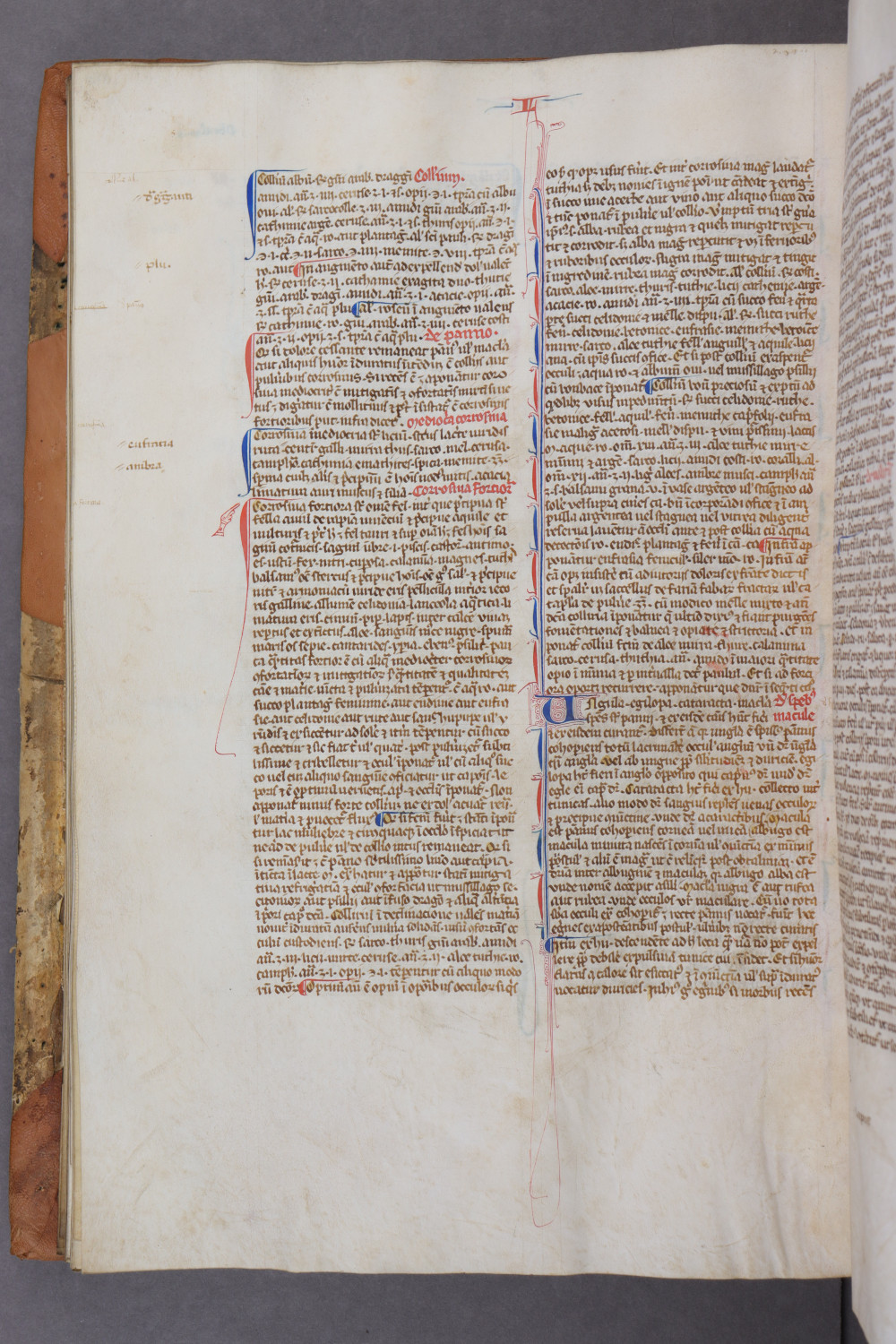 Folio 61 verso